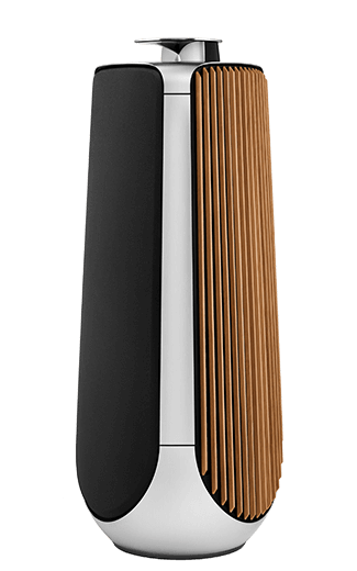 beolab 50 speaker