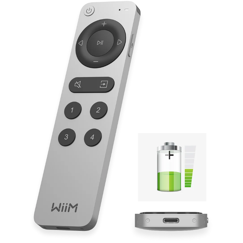 Wiim Voice Remote 2. Image -1