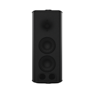 Theory Audio Design sb25aw High Output Multi-Use All-Weather Loudspeaker