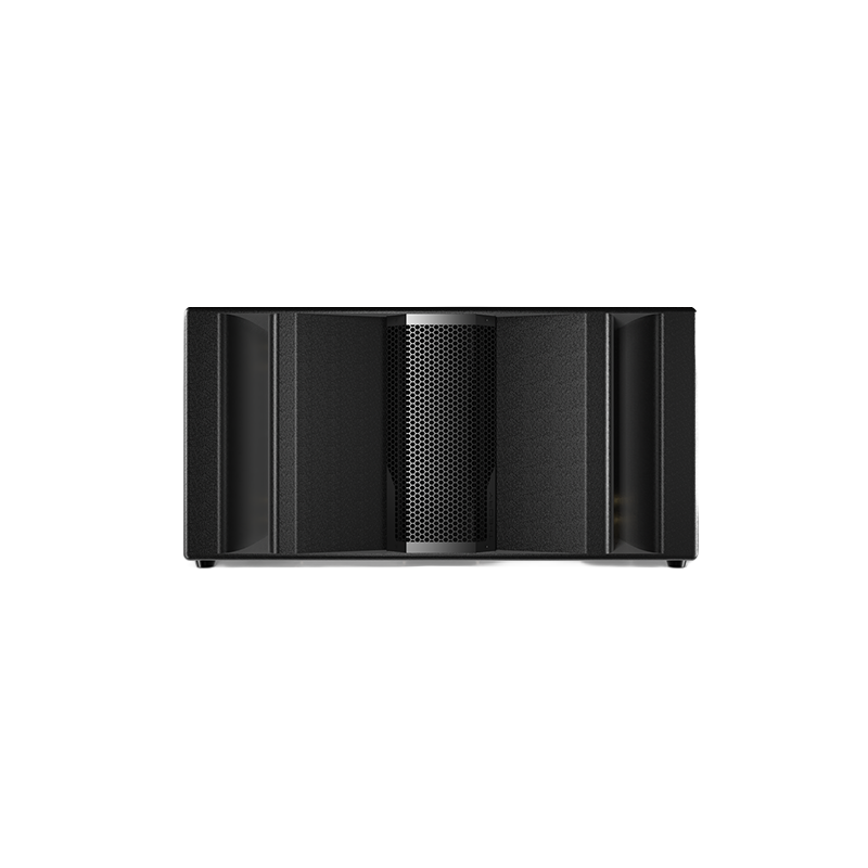 Theory Audio Design SR-218LF Maximum Output Manifold Bass Reflex Subwoofer