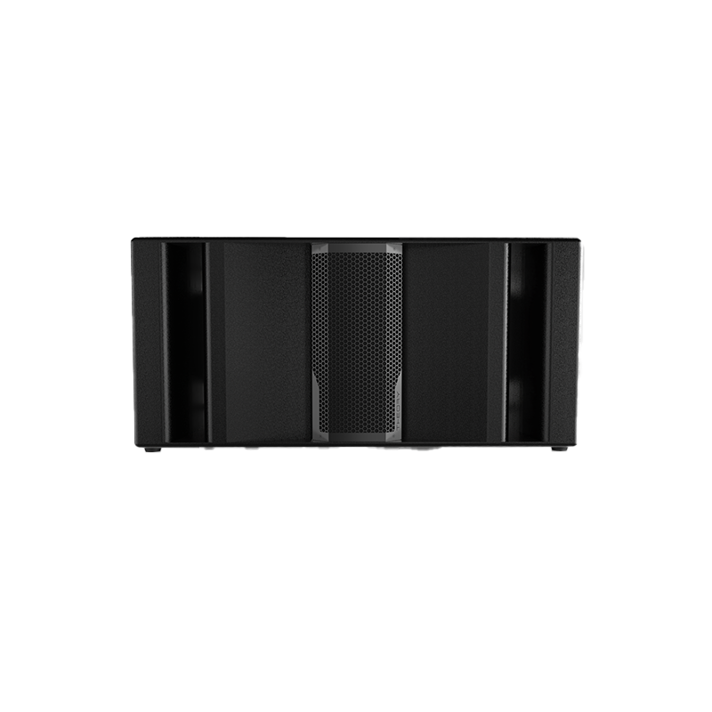 Theory Audio Design SR-221LF Maximum Output Manifold Bass Reflex Subwoofer