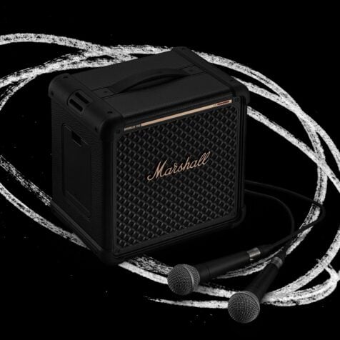 marshall-bromley-150-mic-inputs